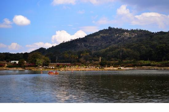 Yelagiri Hills